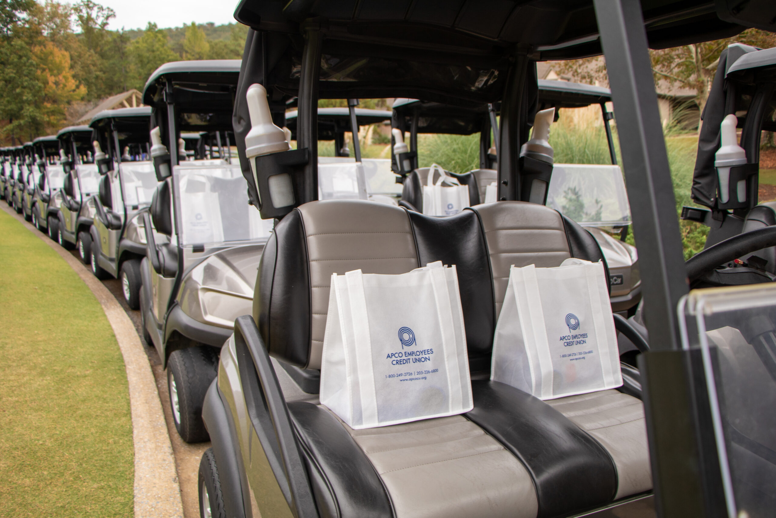 Golf Carts at Greystone Legacy Golf Course